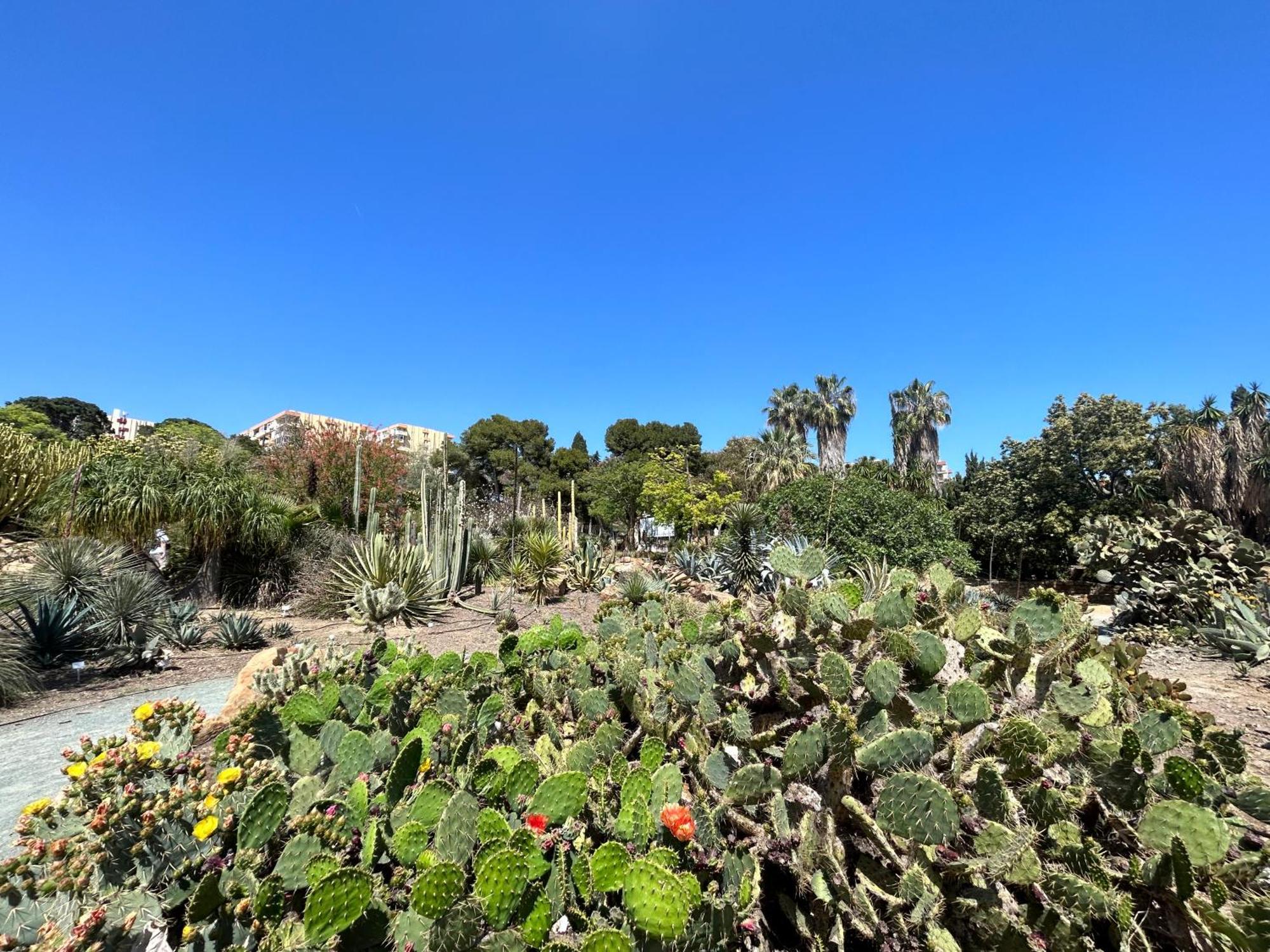 Acogedor Apartamento En Benalmadena Vistas Екстериор снимка